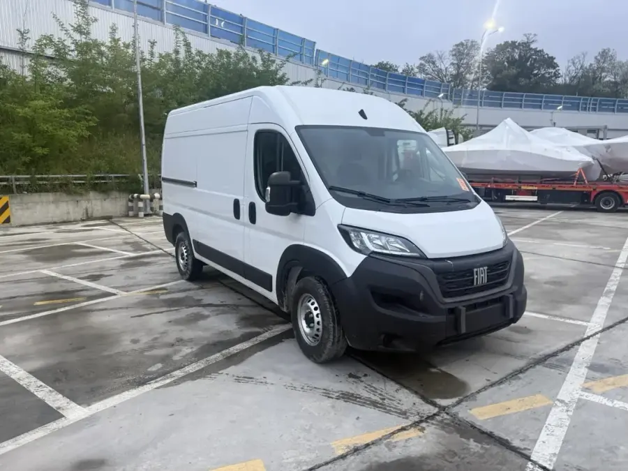 Fiat Ducato · panel van