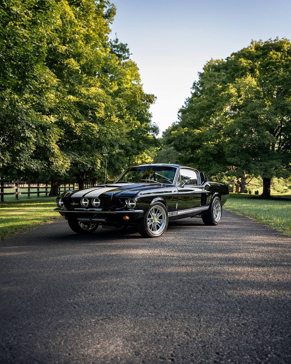 ▎Легенда на колёсах: история марки Шелби 